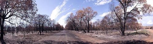 Bushfire - NR Links