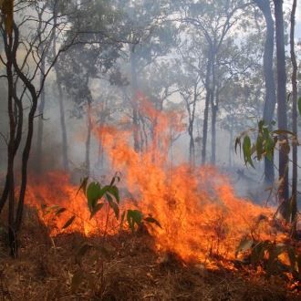 Bushfire Planning and Management - NR Links