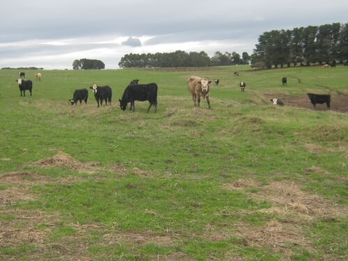 NR Links Town Planning - Farming