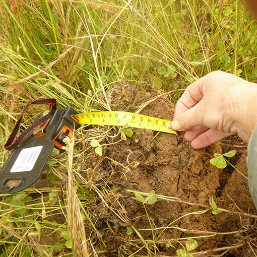 Land Capability Assessment for Agricultural Land Use