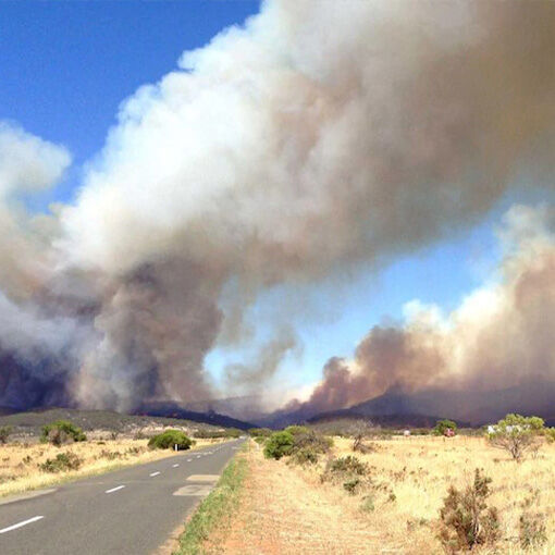 Bushfire Report