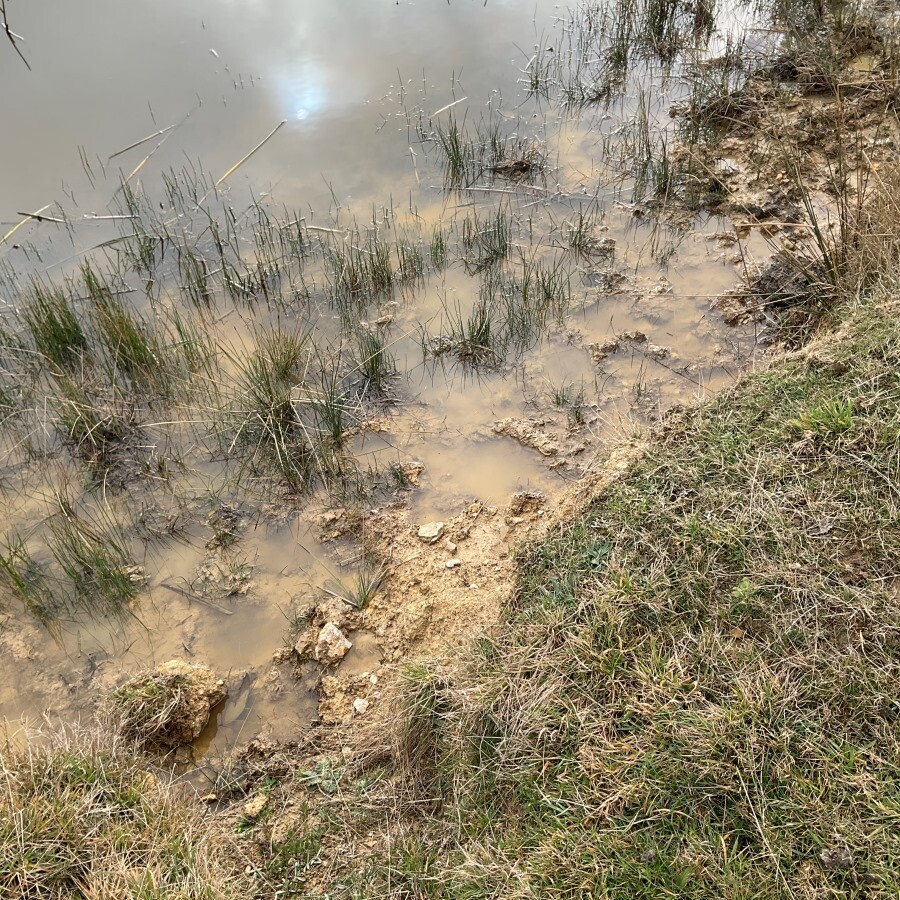 Dispersive Soil Along Dam