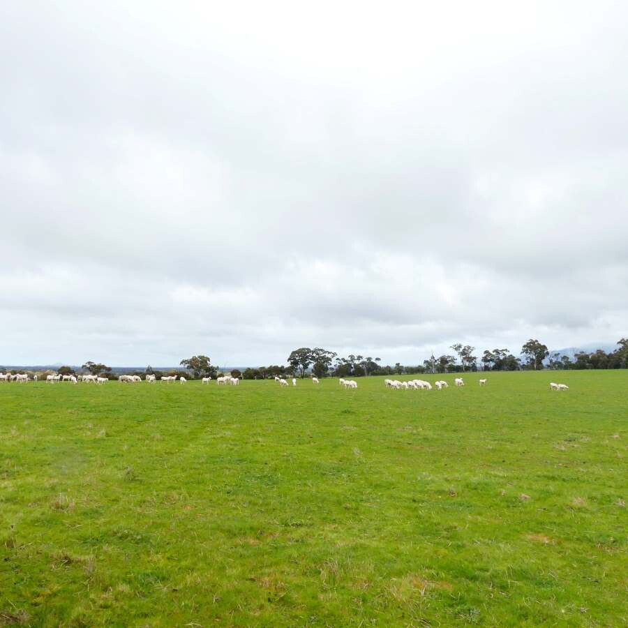 Integrated land management plan - Glue Pot Road Black Range 