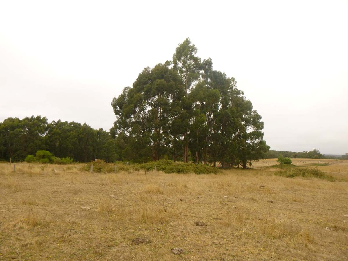 Integrated land management plan  BallanDaylesford Road Korweinguboora 