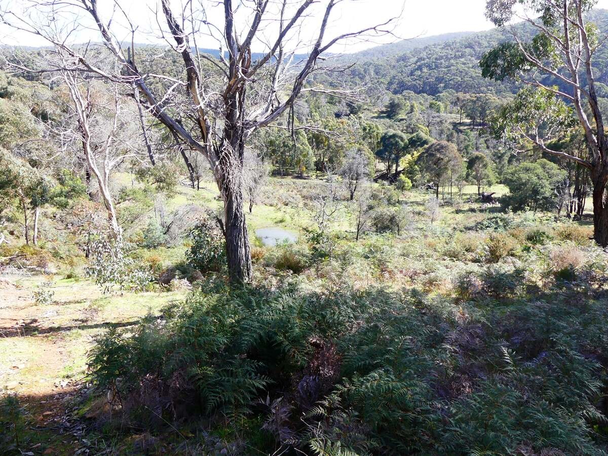 Integrated land management plan  Spring Creek Road Nowhere Creek