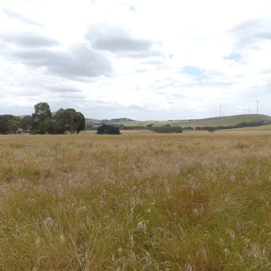 Use and development in Farming Zone  Ercildoun Road Ercildoune