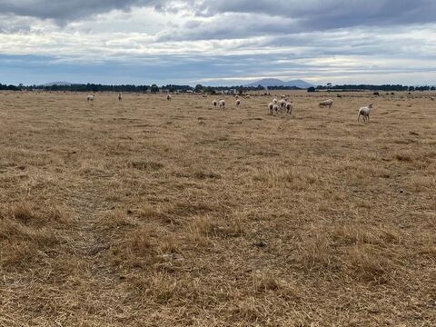 Boundary realignment  Farming Zone  Slaughteryard Road Clunes 