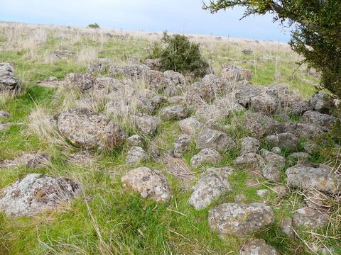 Boundary realignment  Farming Zone  Slaughteryard Road Clunes 