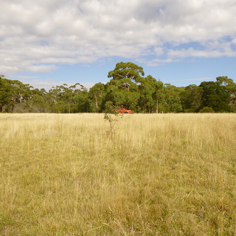 Bushfire Management Report  Swamp Road Dereel