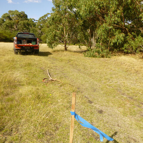 Bushfire Management Report  Swamp Road Dereel