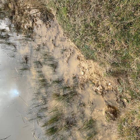 Dispersive Soil Along Dam