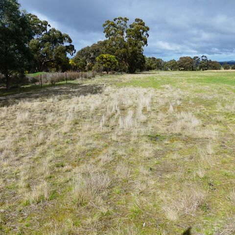 Farm Management Plan  Black Range