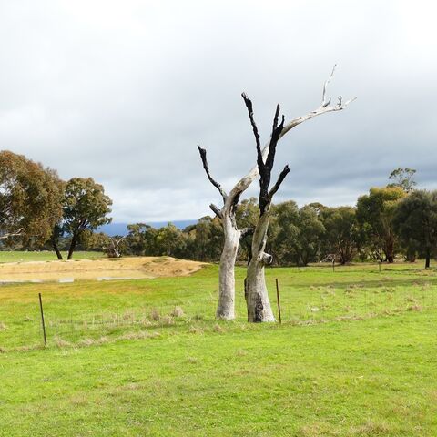 Farm Management Plan  Black Range