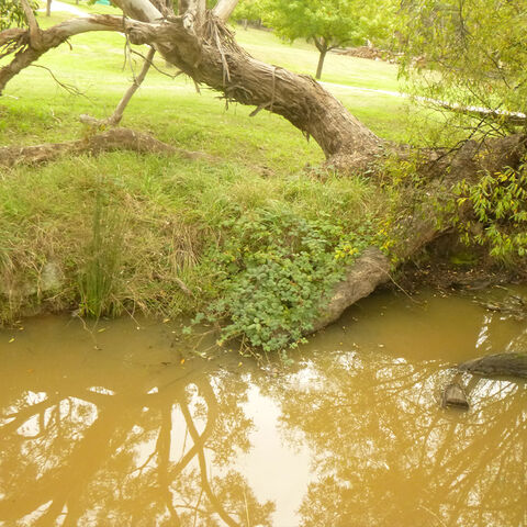 Farm Management Plan  Macedon Ranges