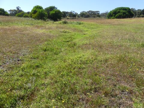 Green Wedge Integrated FarmLand Management Report  Boneo