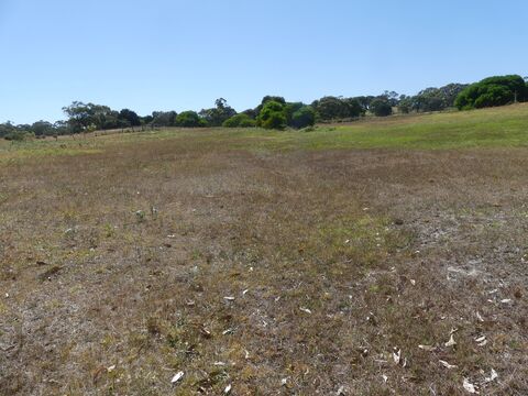 Green Wedge Integrated FarmLand Management Report  Boneo