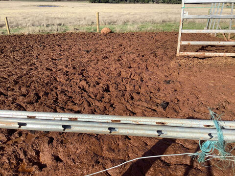 Integrated Farm Management Report  Hepburn Shire