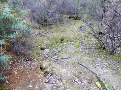 Integrated Land Management Report  Yapeen