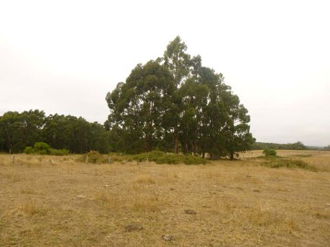 Integrated land management plan  BallanDaylesford Road Korweinguboora 