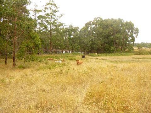 Integrated land management plan  BallanDaylesford Road Korweinguboora 