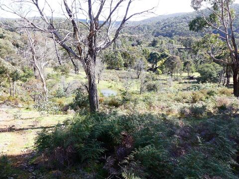 Integrated land management plan  Spring Creek Road Nowhere Creek