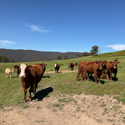 Rural Conservation Zone - NR Links