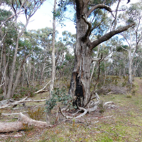 Rural Conservation Zone - NR Links