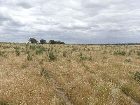 Use and development in Farming Zone  Ercildoun Road Ercildoune