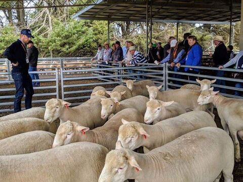 Use and development in Farming Zone  Ercildoun Road Ercildoune